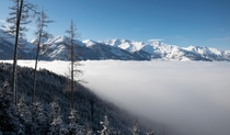 Sea of clouds in the Austrian Alps 