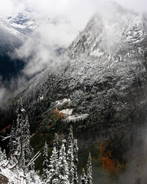Seasonal Transition North Cascades WA 
