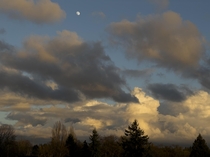 Seattle WA morning sky  x  OC