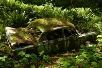 Second abandoned car in the woods near my house 