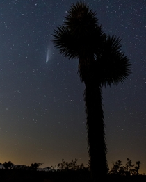 Second attempt at Astro first at shooting Neowise From Joshua Tree
