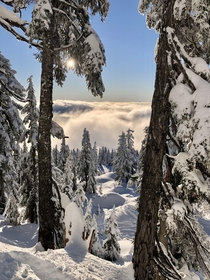 Secret Trails - Cypress Mountain British Columbia 