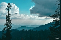 Sequoia National Park CA 