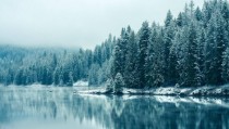 Serene Winter Lake and Trees 