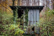 Shack in the Georgia forest