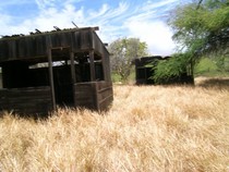 Shacks my grandfather used on the west end of Molokai Hawaii 