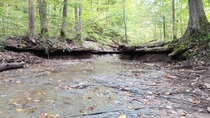 Shale Bottom Stream Cuyahoga Valley National Park Ohio USA   x 