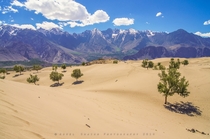 Shigar Desert with the Karakoram Mountains in the background - Pakistan  by Adeel Shaikh