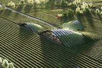 Shilda winery in Kakheti Georgia is the example of architecture integrating nature - dubbed the greenest winery it is embedded within the landscape and energy-efficient Designed by X-architecture 