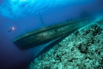 Ship wreck near Nassau in the Bahamas Tobias Friedrich 