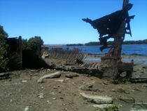 Shipwrecks at low tide 