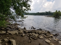 Shore of the Susquehanna River in Maryland  x
