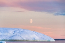 Shot of the moon over an iceberg and birds at sunset near Ilulissat Greenland 