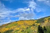 Signs of changing seasons in Vail Colorado 