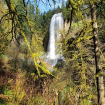 Silver Falls In Oregon OC