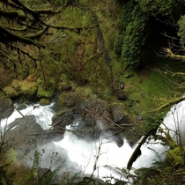 Silver Falls is one of the most popular state parks in Oregon for a reason 