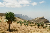 Simien Mountains National Park - Ethiopia  African mountains deserve some attention too