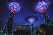 Singapore and the supertrees 