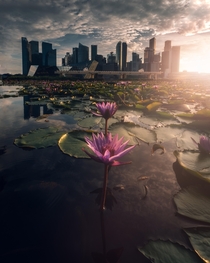 Singapore at sunset