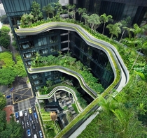Singapore sky garden 