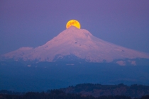 Single image of the supermoon above Mt Hood from Happy Valley Oregon 