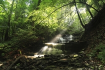 Six Mile Creek Preserve - Ithaca NY OC 