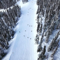 Skiers - Whistler BC