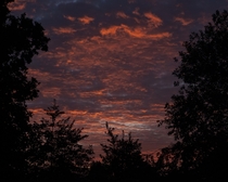 Sky on fire Tettenhall Wolverhampton UK Just as it came out of the camera  x  OC