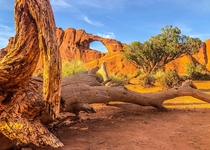 Skyline Arch at Arches National Park x 