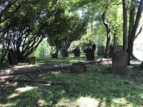 Sleight family grave yard