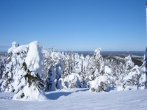 Slopes of skiing resort in Ruka Finland