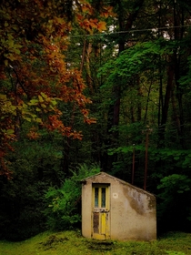 Small abandoned house in forrest Armenia