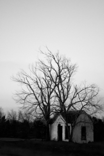 Small building with dead trees on the Oklahoma  Texas Border 