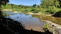 Small Creek in San Antonio Tx OC 