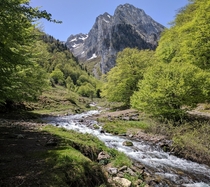 Small stream in the french Pyrenees 