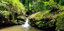 Small waterfall deep in the Pennsylvania woods - Brandywine Valley 