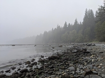 Smoky and foggy morning at French Beach Vancouver Island Canada 