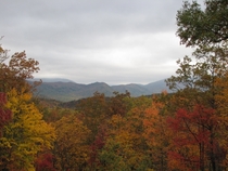 Smoky Mountains - Autumn View 