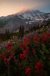 Smoky skies during a summer sunset in Mount Rainier National Park Washington State USA 