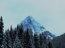 Snoqualmie Mountain - Pacific North West 