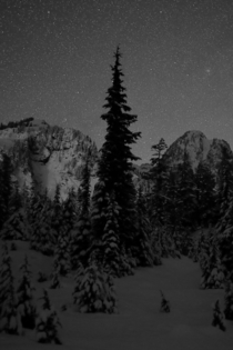 Snow and stars  AM North Cascades WA 