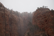 Snow clouds rolling in at Zion National Park OC x