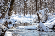 Snow covered creek Eastern Pennsylvania USA 