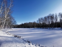Snow-covered English Pond - Peterhof Russia 