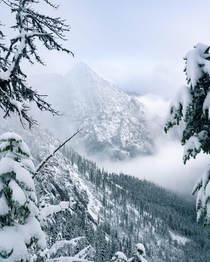 Snow in the mountains and  straight days of rain in the forecast Winter has arrived in Washington 