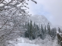 Snow Lake Trail Washington State 
