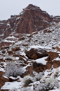 Snow on the Rocks - Moab UT  OC