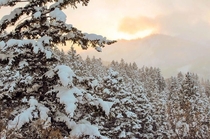 Snow Sunrise at Deer Valley Resort  kennieclaw