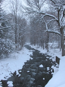 Snowy creek in Upstate NY 