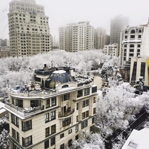 Snowy day in Tehran Iran this morning 